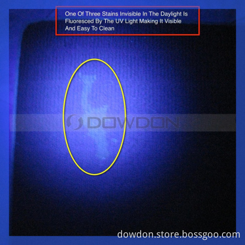 12 LED UV Flashlight Torch for Hygiene Checks and Detecting Pet Urine (TORCH-01)